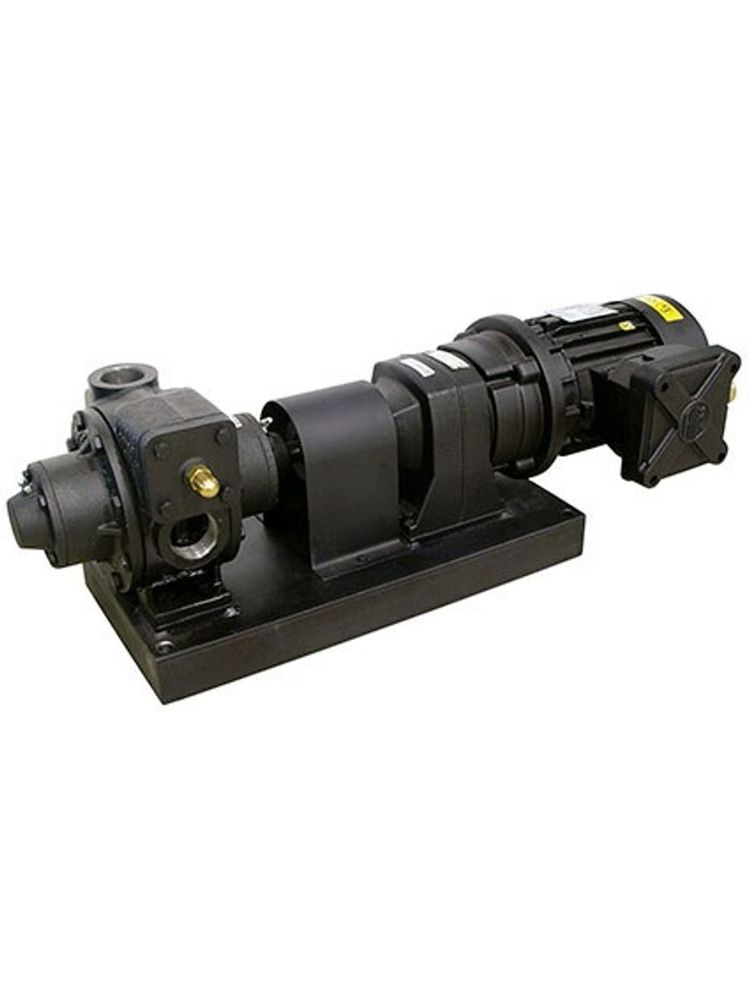 BDP-300 230/400 VAC EExd · F2 1/2" - Высокопроизводительный роторный лопастной электронасос для бенз
