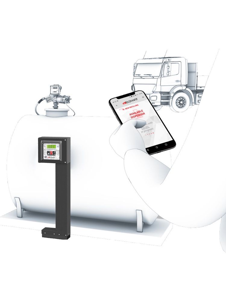 Разовый доступ в системе B.SMART