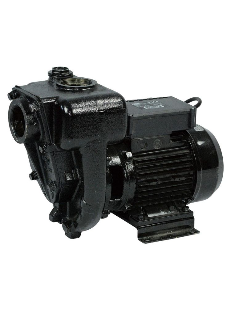PIUSI E300 F00321000 Насос для ДТ
